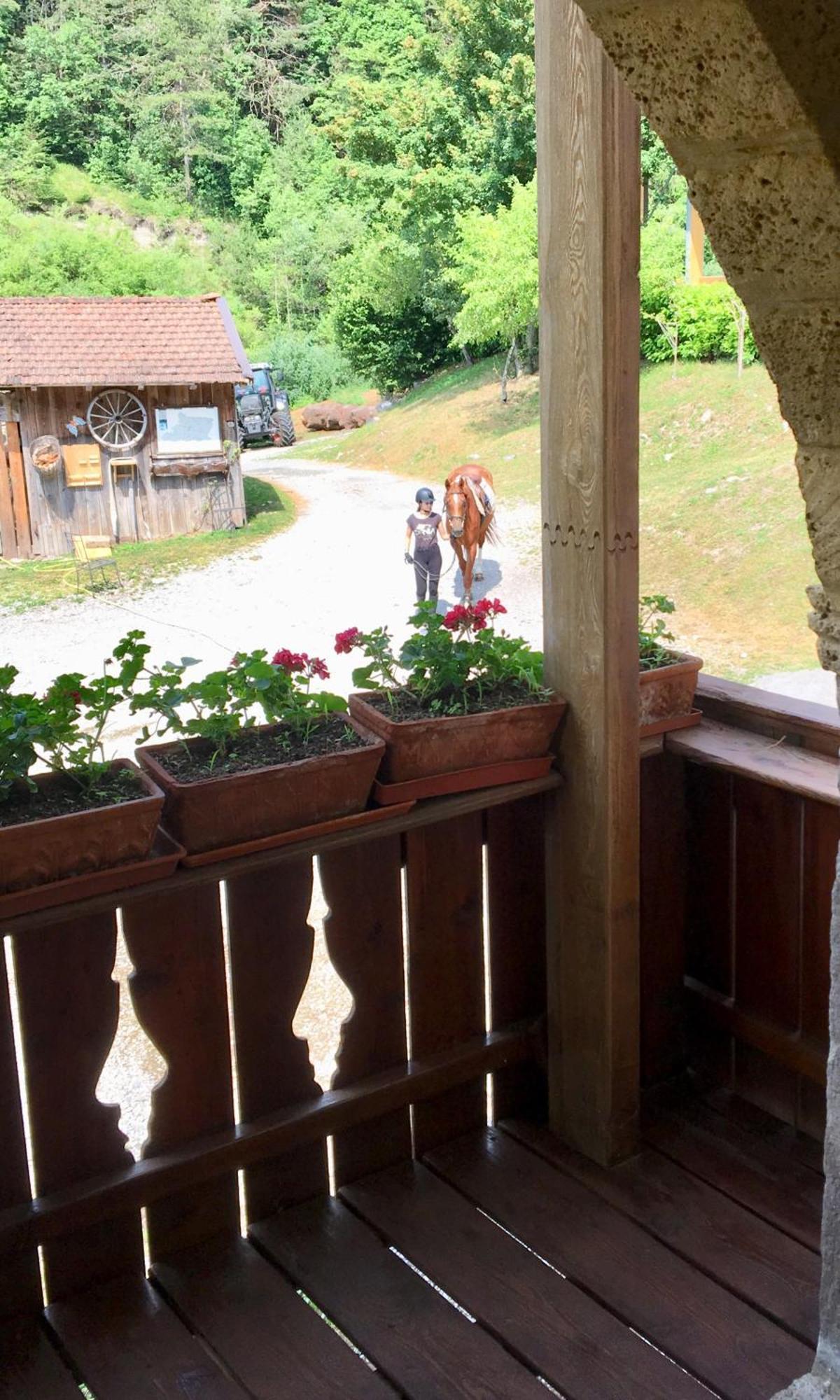 Agriturismo Randis Piano dʼArta Eksteriør bilde