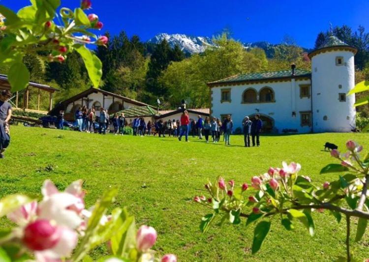 Agriturismo Randis Piano dʼArta Eksteriør bilde