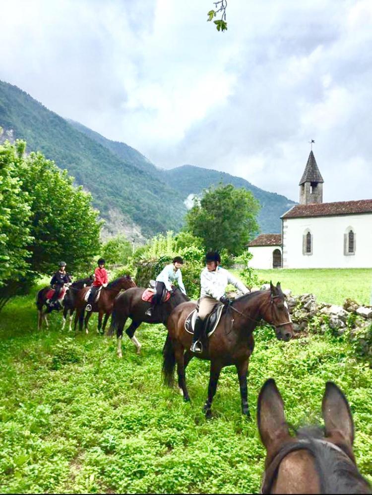 Agriturismo Randis Piano dʼArta Eksteriør bilde