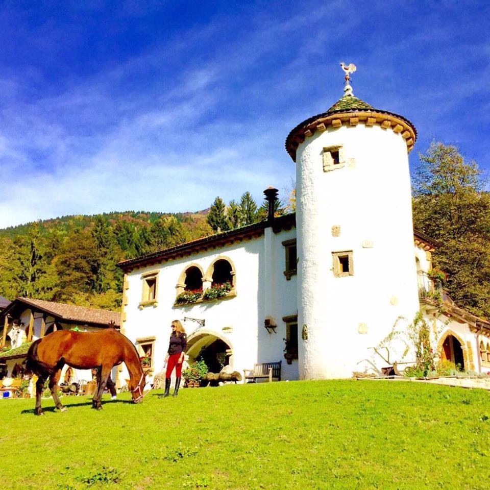 Agriturismo Randis Piano dʼArta Eksteriør bilde